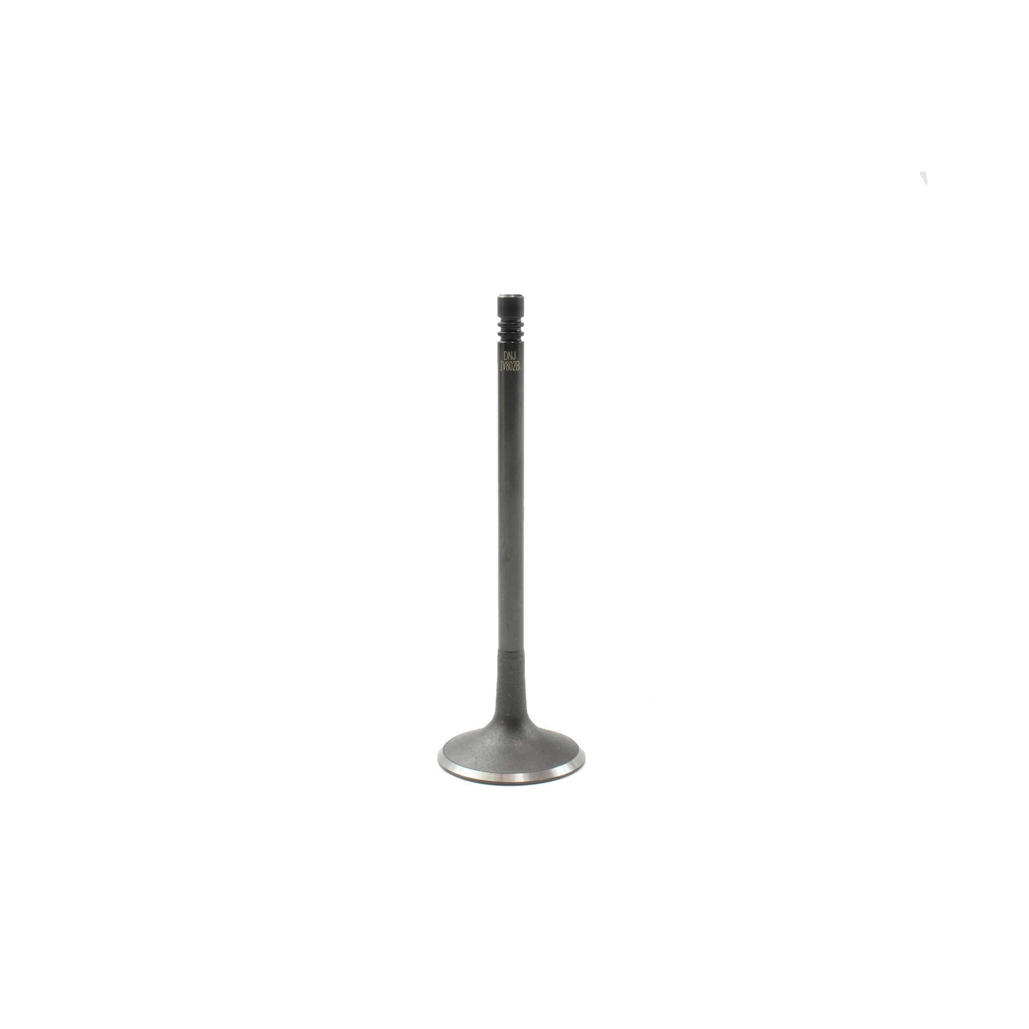 Intake Valve 2007-2010 Audi 4.2L-5.2L