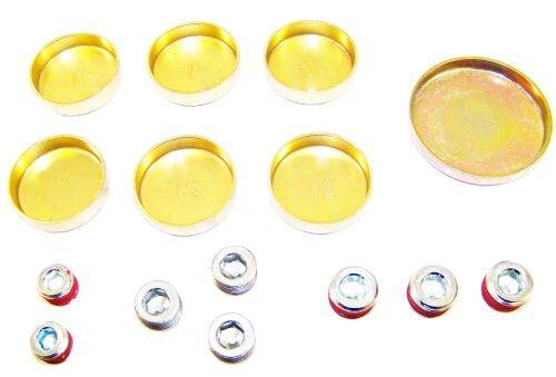 1999 Ford Mustang 3.8L Expansion Plug