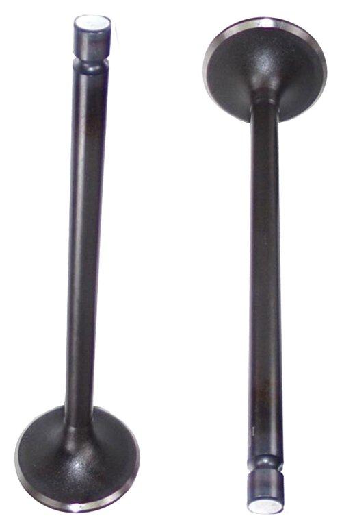 Intake Valve 1998-2018 Dodge,Ram 5.9L-6.7L