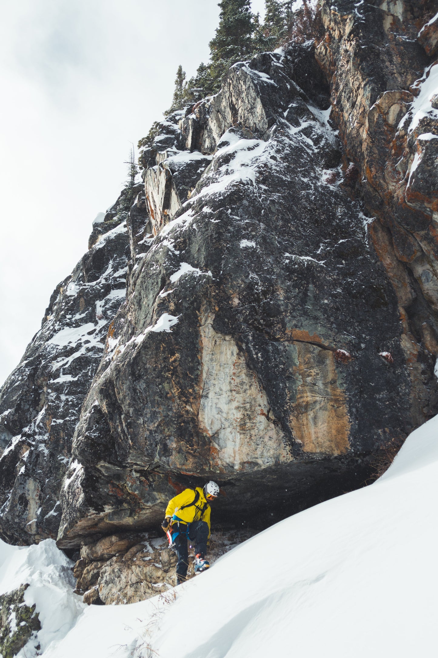 Team Wendy M-216 | w/ Princeton Tec Light & Superior Ventilation | Professional Ski Helmet