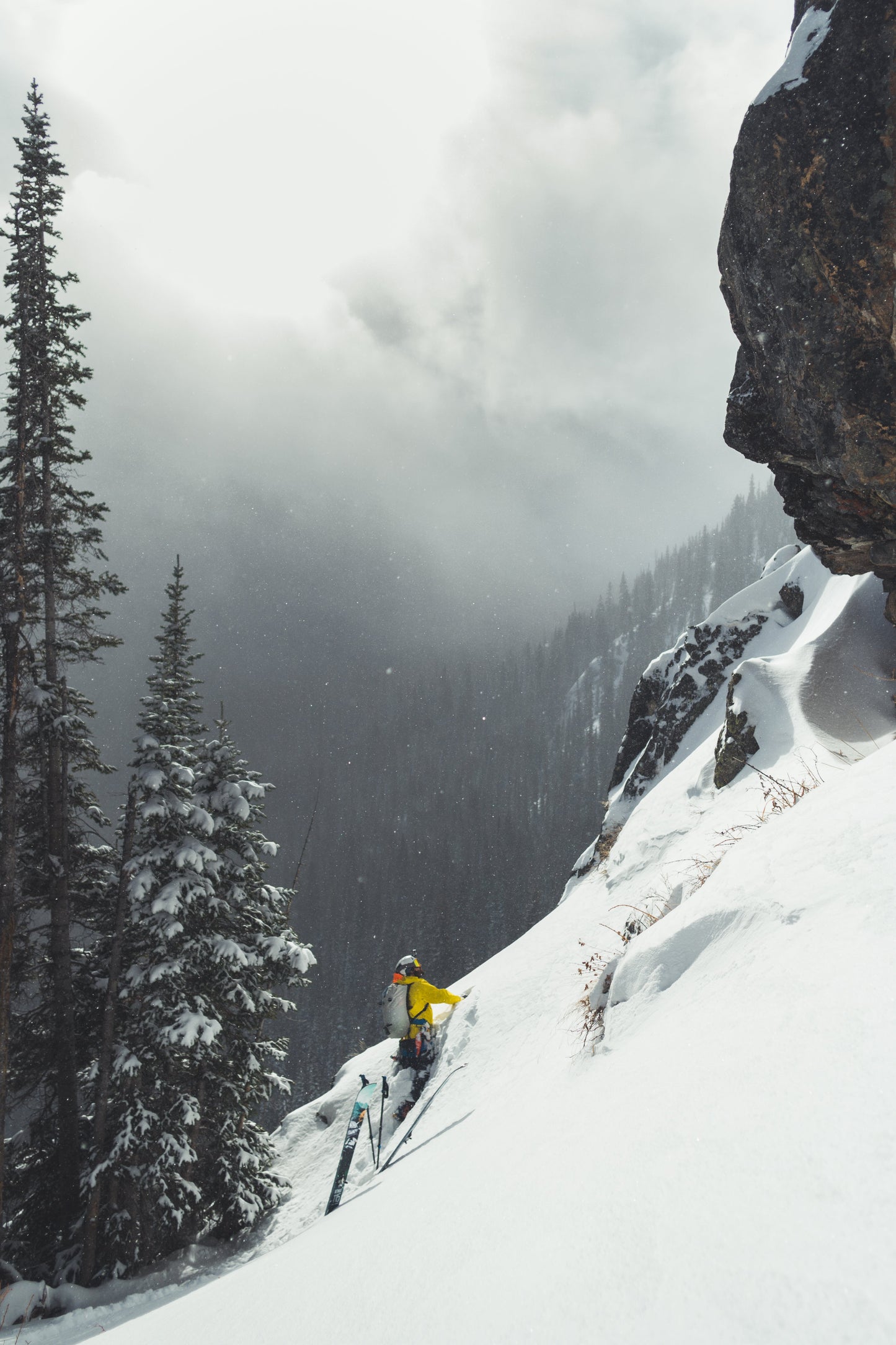 Team Wendy M-216 | w/ Princeton Tec Light & Superior Ventilation | Professional Ski Helmet