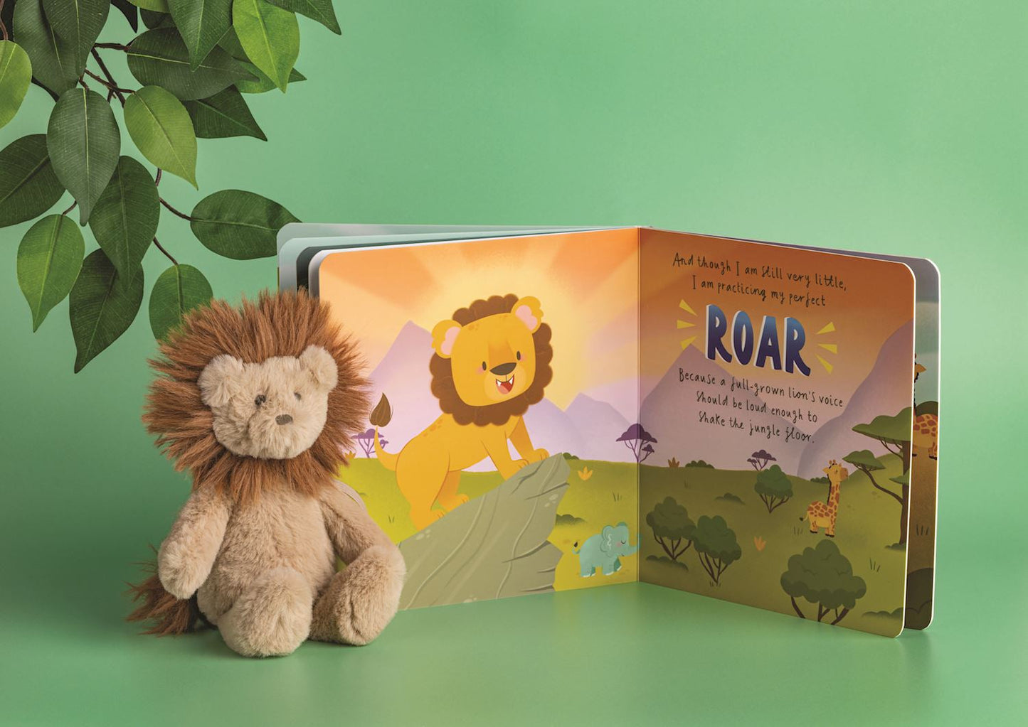 Finn The Lion Book