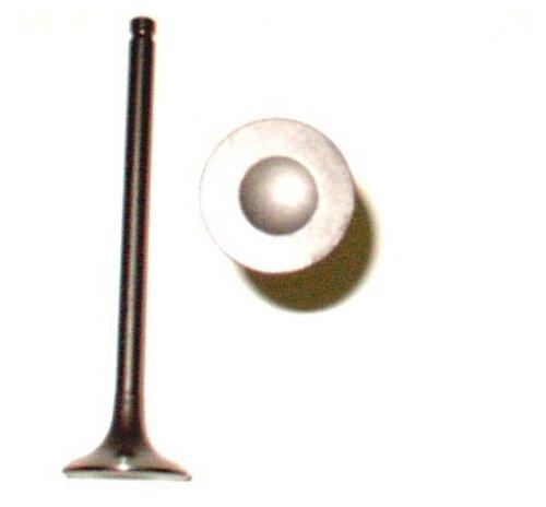 1998 Nissan Sentra 1.6L Exhaust Valve