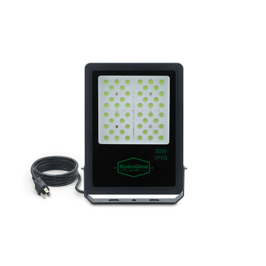 FL50G Above-Water LED Floodlight-Green