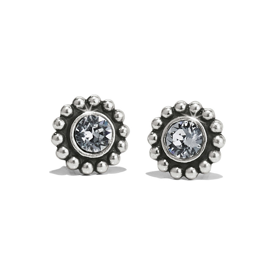 Twinkle Mini Post Stud Earrings