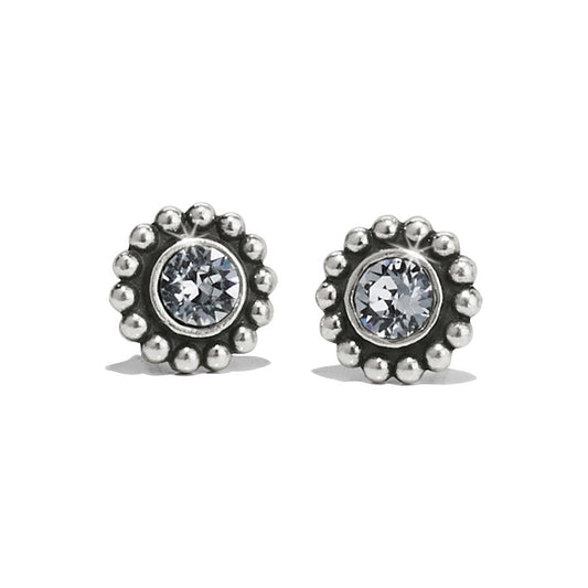 Twinkle Mini Post Stud Earrings
